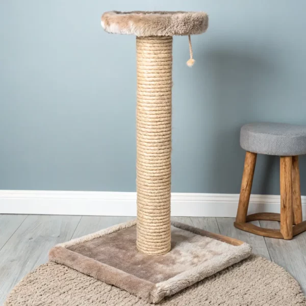 Cat Scratching Post